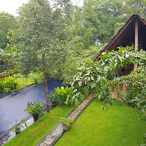 Il Frangipane 3* Sigiriya